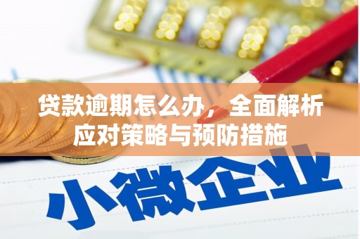 紫云贷款逾期怎么办，全面解析应对策略与预防措施