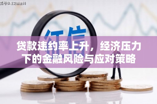 紫云贷款违约率上升，经济压力下的金融风险与应对策略