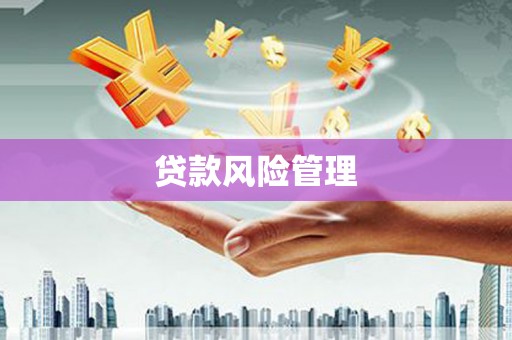 紫云贷款风险管理