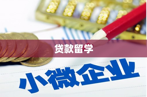 紫云贷款留学