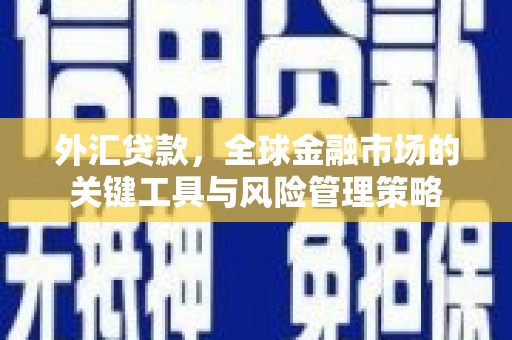 紫云外汇贷款，全球金融市场的关键工具与风险管理策略