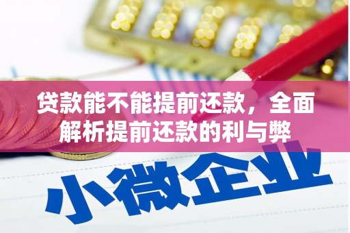 紫云贷款能不能提前还款，全面解析提前还款的利与弊