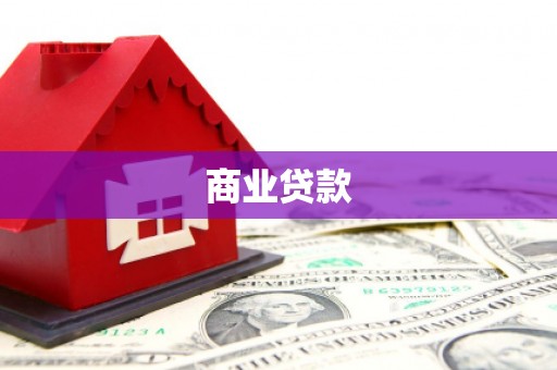 紫云商业贷款