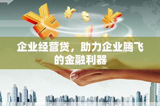 紫云企业经营贷，助力企业腾飞的金融利器