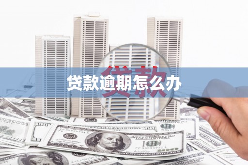 紫云贷款逾期怎么办