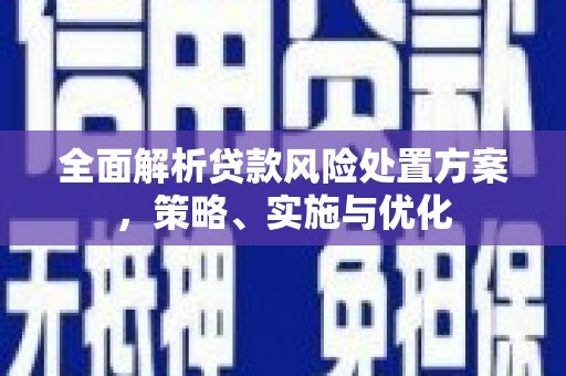 紫云全面解析贷款风险处置方案，策略、实施与优化