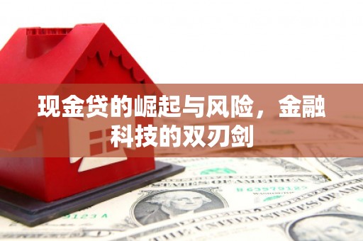 紫云现金贷的崛起与风险，金融科技的双刃剑