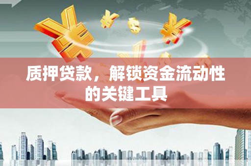 紫云质押贷款，解锁资金流动性的关键工具