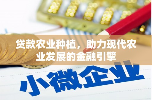 紫云贷款农业种植，助力现代农业发展的金融引擎