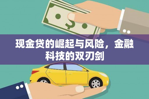 紫云现金贷的崛起与风险，金融科技的双刃剑