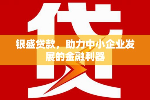 紫云银盛贷款，助力中小企业发展的金融利器