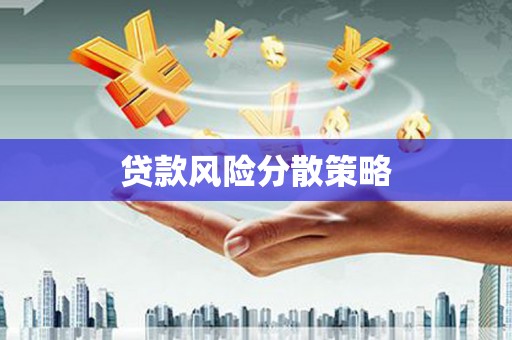 紫云贷款风险分散策略