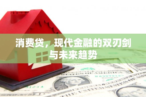 紫云消费贷，现代金融的双刃剑与未来趋势