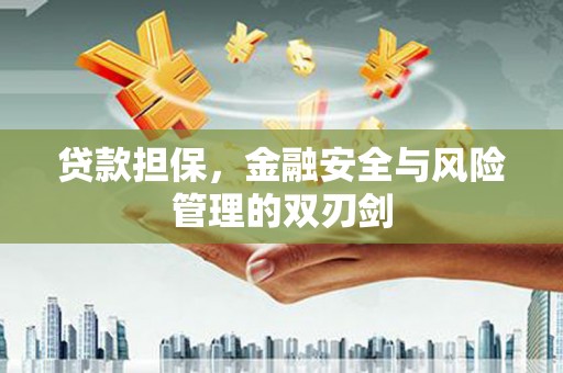 紫云贷款担保，金融安全与风险管理的双刃剑