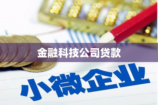 紫云金融科技公司贷款