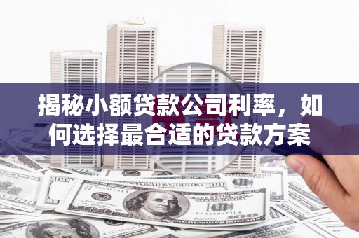 紫云揭秘小额贷款公司利率，如何选择最合适的贷款方案