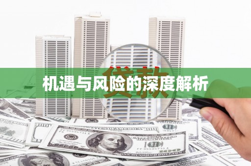 紫云机遇与风险的深度解析