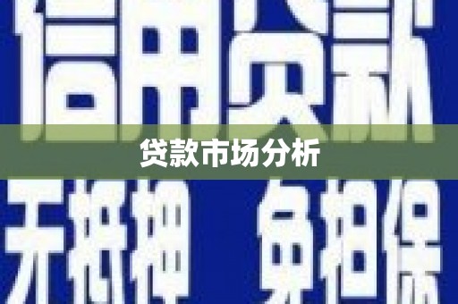 紫云贷款市场分析