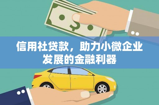 紫云信用社贷款，助力小微企业发展的金融利器