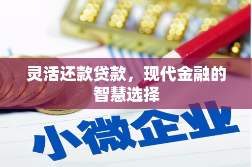 紫云灵活还款贷款，现代金融的智慧选择