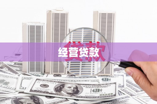 紫云经营贷款