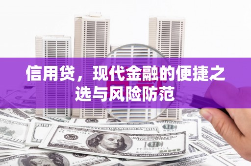 紫云信用贷，现代金融的便捷之选与风险防范