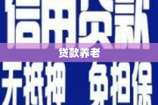 紫云贷款养老