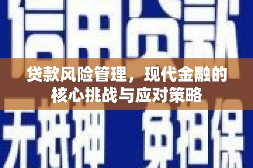 紫云贷款风险管理，现代金融的核心挑战与应对策略