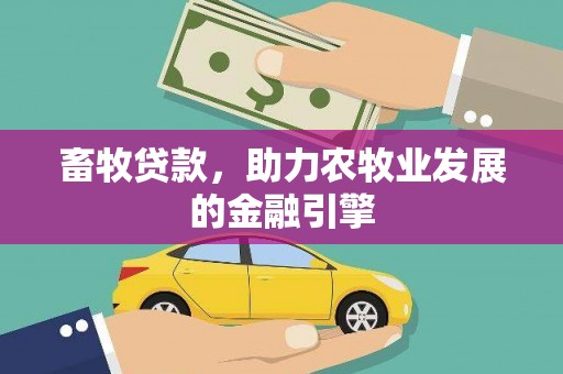 紫云畜牧贷款，助力农牧业发展的金融引擎