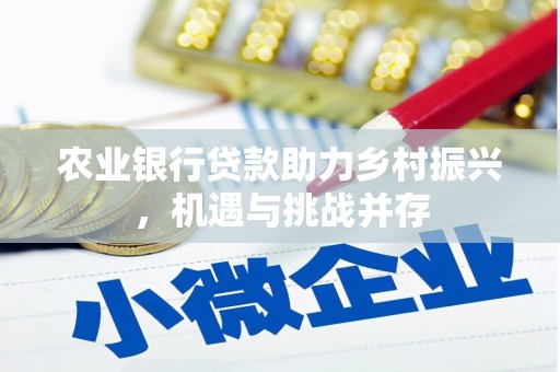 紫云农业银行贷款助力乡村振兴，机遇与挑战并存