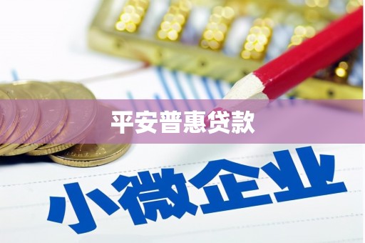 紫云平安普惠贷款