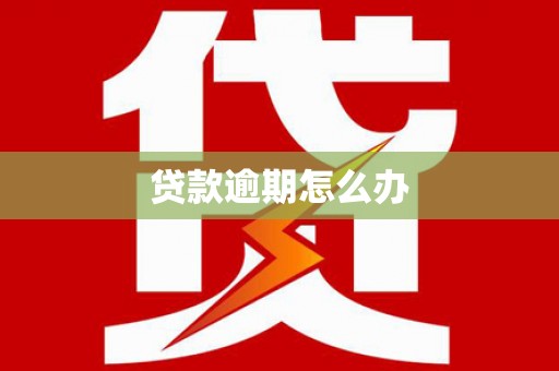 紫云贷款逾期怎么办