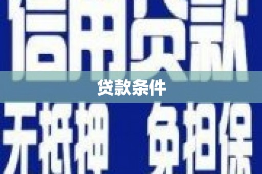 紫云贷款条件
