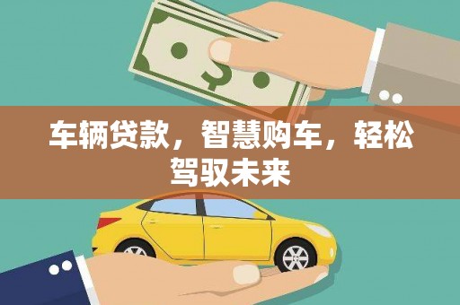 紫云车辆贷款，智慧购车，轻松驾驭未来