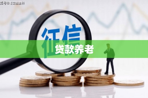 紫云贷款养老