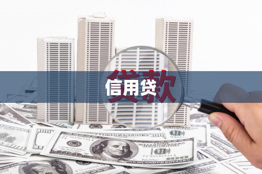 紫云信用贷
