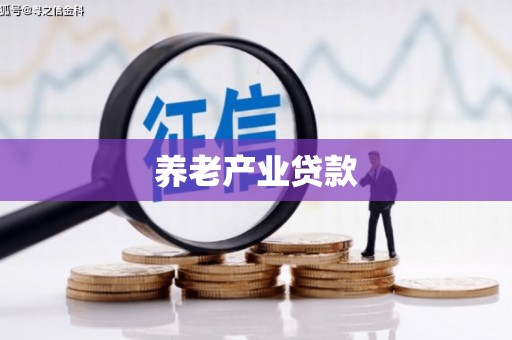 紫云养老产业贷款