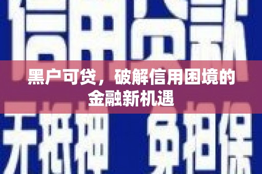 紫云黑户可贷，破解信用困境的金融新机遇