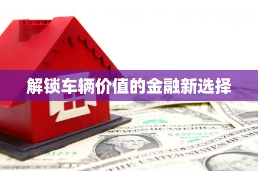 紫云解锁车辆价值的金融新选择