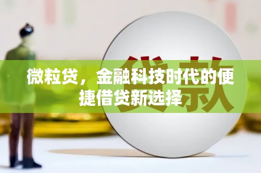 紫云微粒贷，金融科技时代的便捷借贷新选择