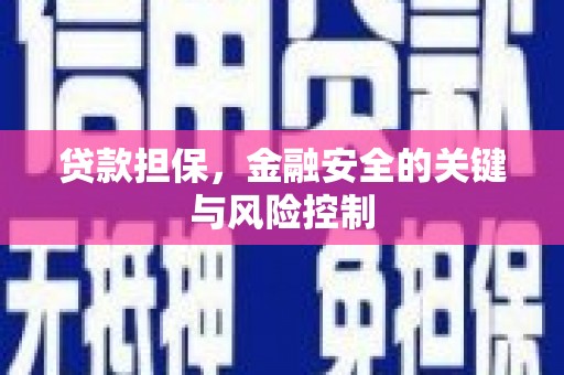 紫云贷款担保，金融安全的关键与风险控制