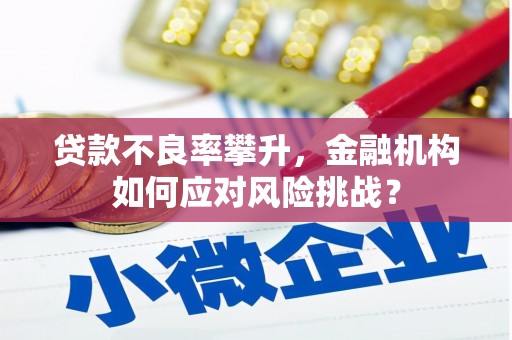 紫云贷款不良率攀升，金融机构如何应对风险挑战？