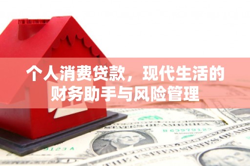 紫云个人消费贷款，现代生活的财务助手与风险管理