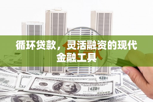 紫云循环贷款，灵活融资的现代金融工具