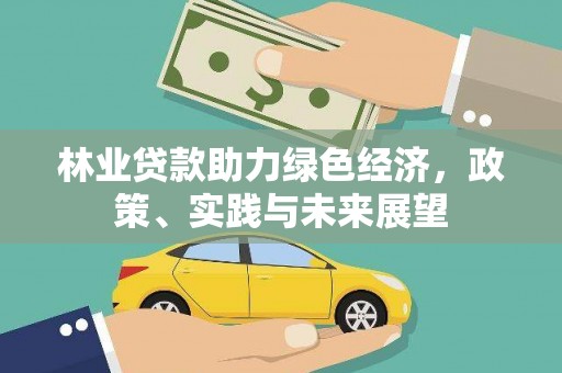 紫云林业贷款助力绿色经济，政策、实践与未来展望
