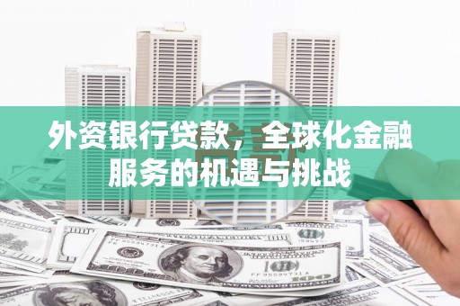 紫云外资银行贷款，全球化金融服务的机遇与挑战