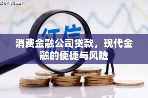 紫云消费金融公司贷款，现代金融的便捷与风险