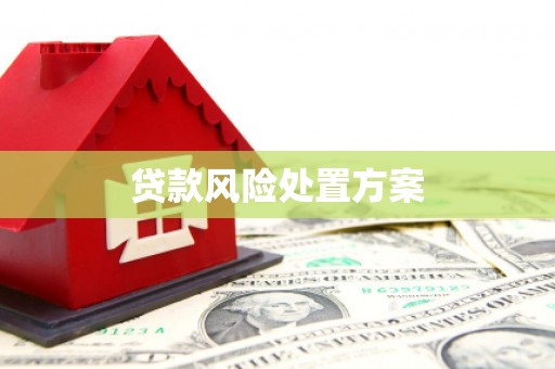 紫云贷款风险处置方案