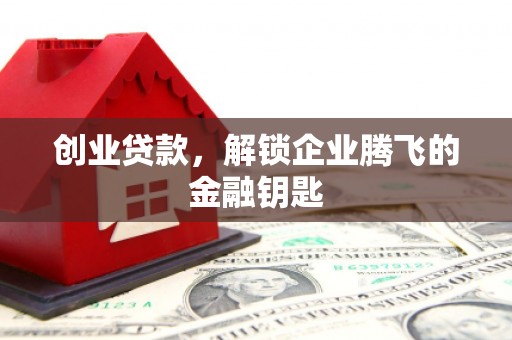 紫云创业贷款，解锁企业腾飞的金融钥匙