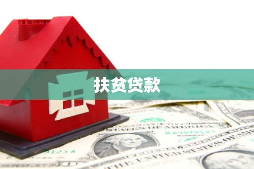紫云扶贫贷款